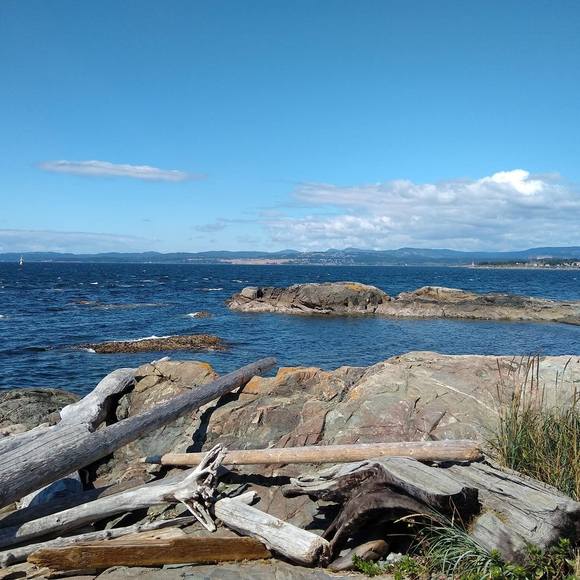 Meet your Posher, Shirlee - Picture 1 of 1